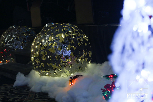 20181127_ChristmasintheSmokies-7297