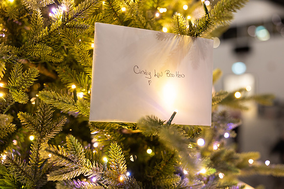 Christmas 2024-1531