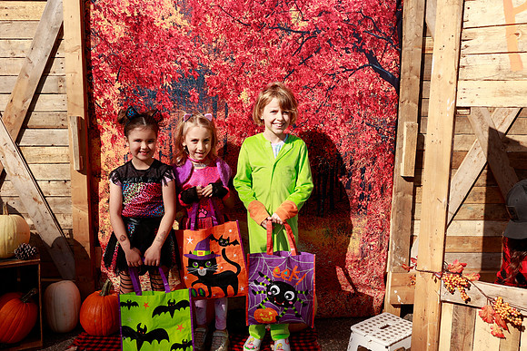 _C5A5517