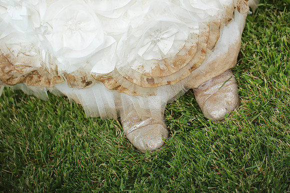 Wedding-2039